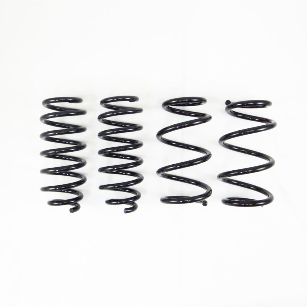 RSR Ti2000 Down 2017+ TESLA Model 3 RWD lowering springs