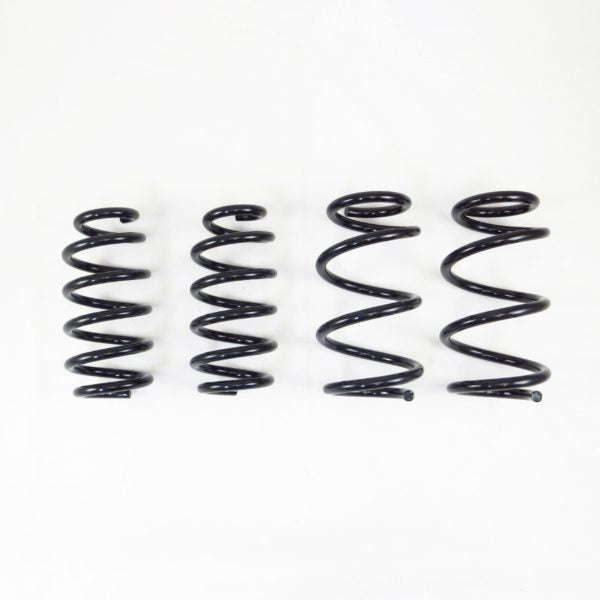RSR Ti2000 Down 2019+ TESLA Model 3 AWD lowering springs