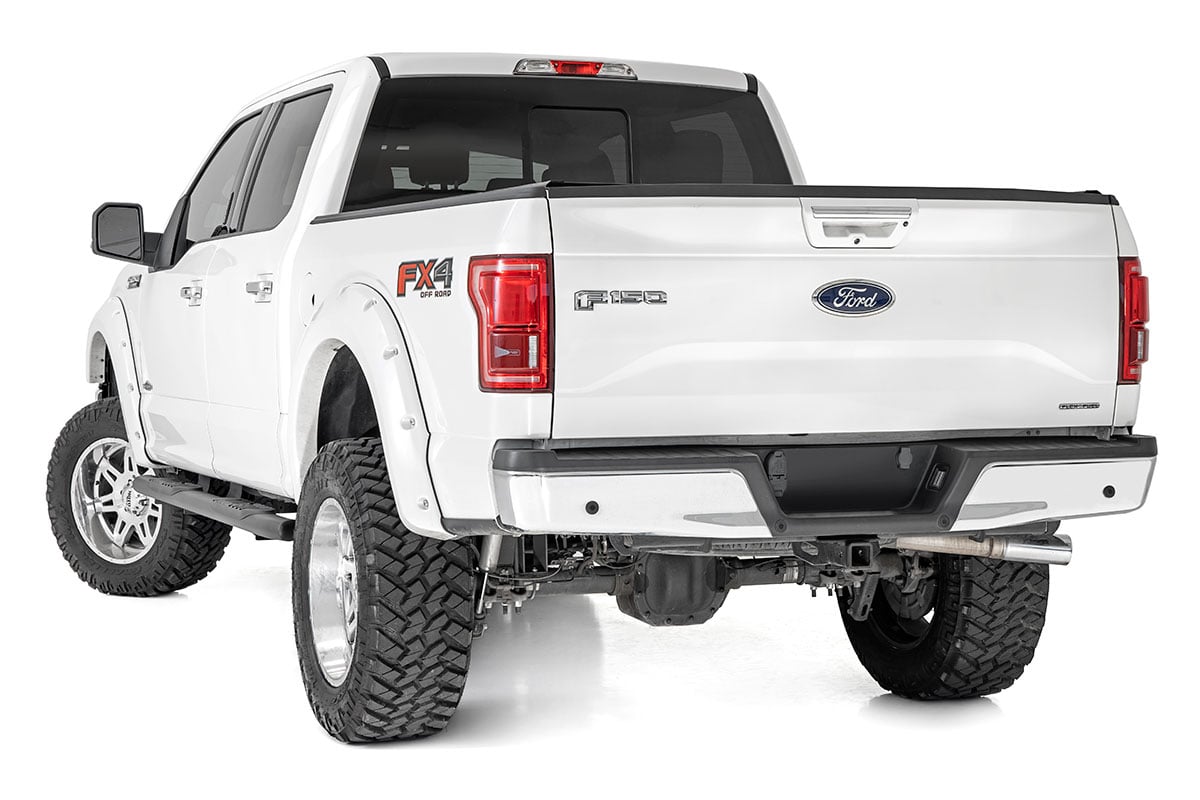 Oval Nerf Step | Crew Cab | Black | Ford F-150 2WD/4WD | 2015-2021 | Rough Country | 21005