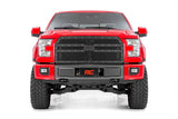Mesh Grille | Ford F-150 2WD/4WD | 2015-2017 | Rough Country | 70191