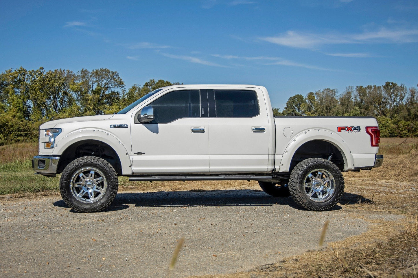 Oval Nerf Step | Crew Cab | Black | Ford F-150 2WD/4WD | 2015-2021 | Rough Country | 21005
