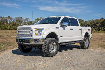 Oval Nerf Step | Crew Cab | Black | Ford F-150 2WD/4WD | 2015-2021 | Rough Country | 21005