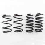 RSR Down Sus 2011-2017 - ZWA10 Lexus CT200h lowering springs