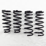 RSR Down Sus 1998 to 2005 - JZS160 Lexus GS300/400/430 RWD lowering springs