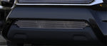 T-Rex Bumper Billet Grille Insert - Polished 25938