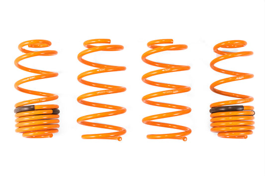 2009-2014 Honda Fit GT-F Lowering Springs | ARK - LF0605-0500