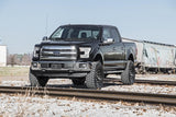 6 Inch Lift Kit | N3 Struts | Ford F-150 4WD | 2015-2020