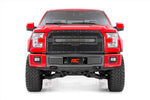 Mesh Grille | 30" Dual Row LED | Black | Ford F-150 2WD/4WD | 2015-2017