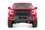 Mesh Grille | Ford F-150 2WD/4WD | 2015-2017